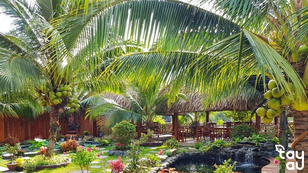 Bí quyết lựa chọn cây cảnh sân vườn biệt thự đẹp mắt và dễ chăm sóc 14 cay canh san vuon biet thu 5