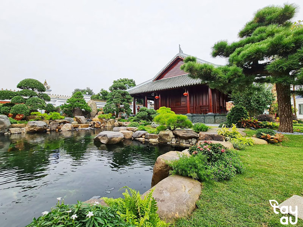 Bí quyết lựa chọn cây cảnh sân vườn biệt thự đẹp mắt và dễ chăm sóc 17 cay canh san vuon biet thu 8