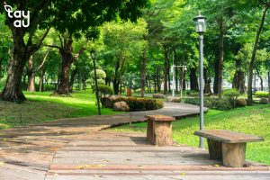 cong-vien-cay-xanh-5