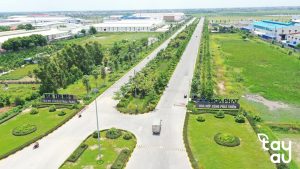 cac loai cay trong trong khu cong nghiep 1