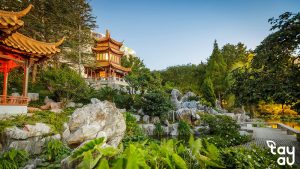 San Vuon Trung Quoc 1