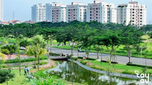 phat trien cay xanh do thi 1