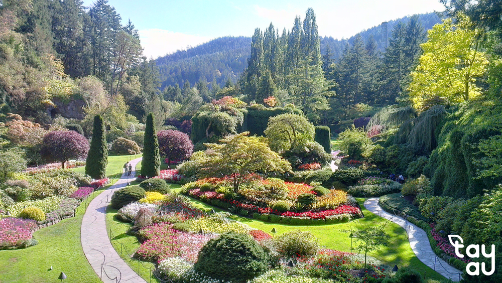 Top 7 Most Beautiful Gardens in the World: The Magical Charm of Nature 15 top san vuon dep nhat the gioi 7