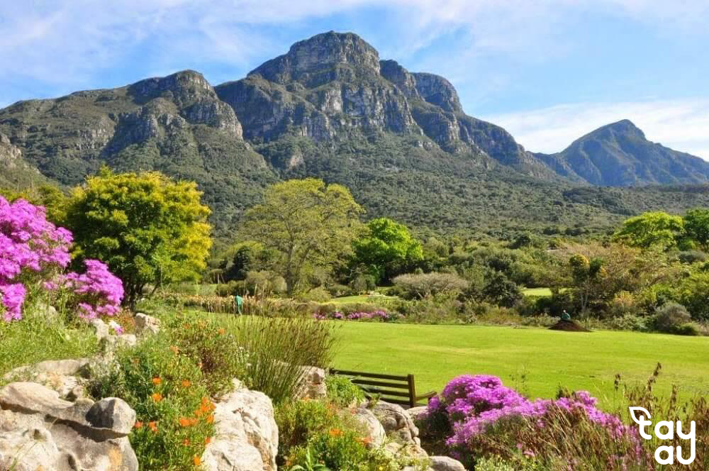 Top 7 Most Beautiful Gardens in the World: The Magical Charm of Nature 16 top san vuon dep nhat the gioi 8