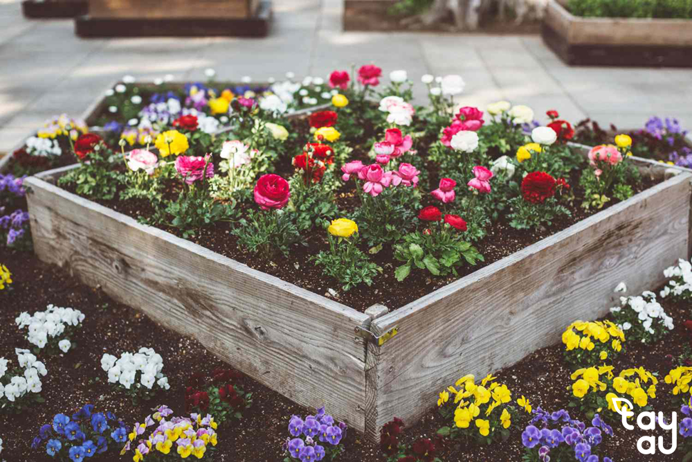 Key considerations you need to know before designing a garden planter 14 bon hoa san vuon 3