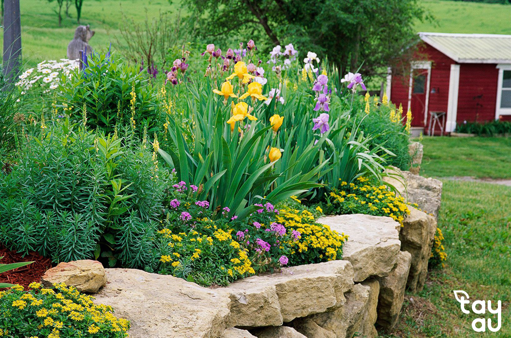 Key considerations you need to know before designing a garden planter 13 bon hoa san vuon 4