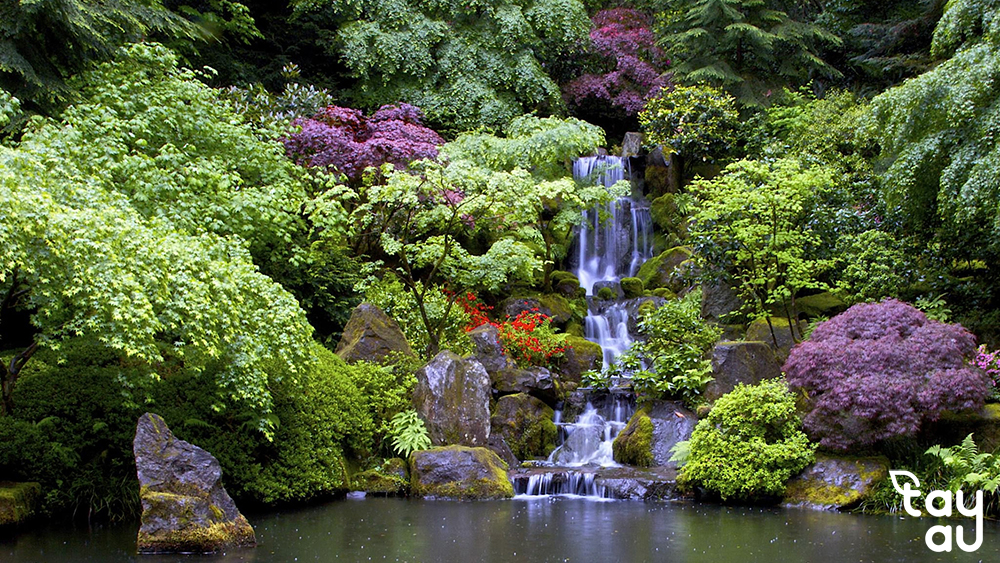 Things to know about natural elements in garden design 12 natural elements in garden design 4