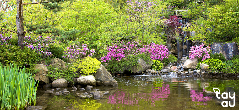 Things to know about natural elements in garden design 13 natural elements in garden design 5