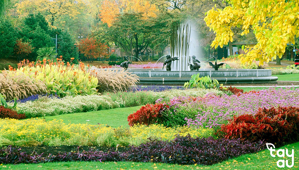 Things to know about natural elements in garden design 14 natural elements in garden design 7