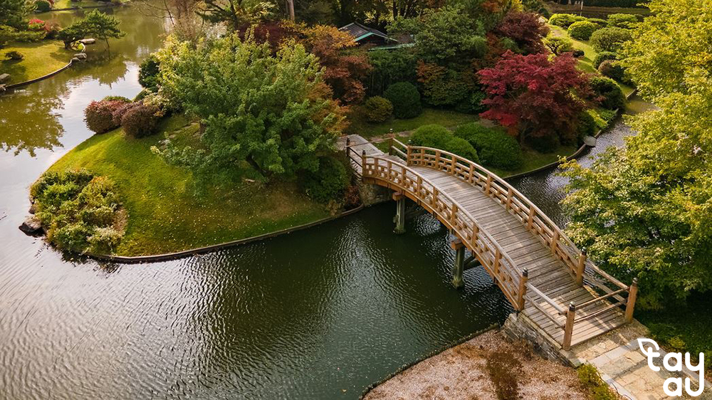 Secrets to owning a perfect garden space with bridges 8 cau san vuon 1