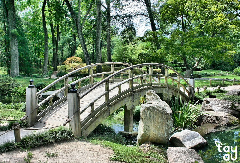 Secrets to owning a perfect garden space with bridges 10 cau san vuon 3