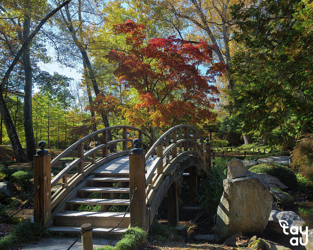 Secrets to owning a perfect garden space with bridges 12 cau san vuon 5