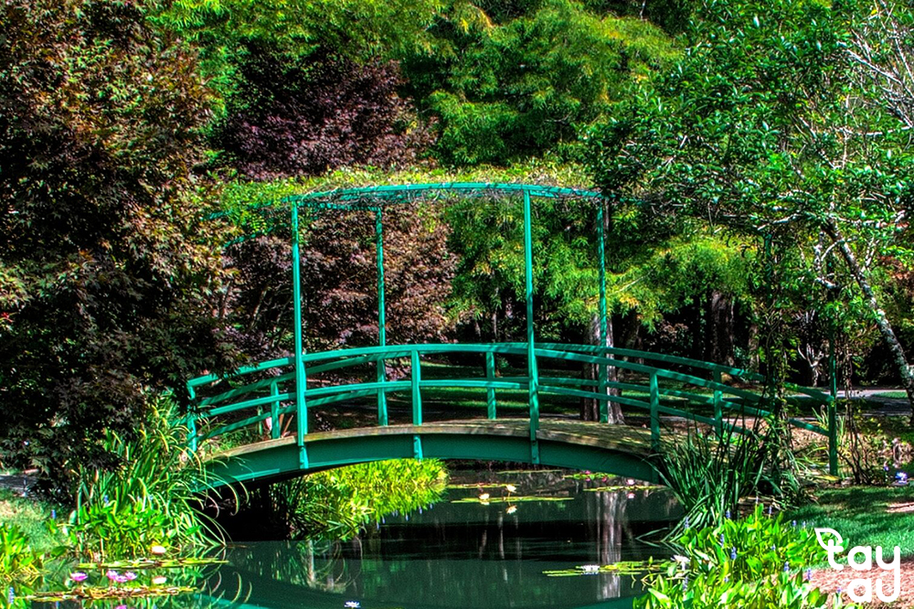 Secrets to owning a perfect garden space with bridges 15 cau san vuon 7