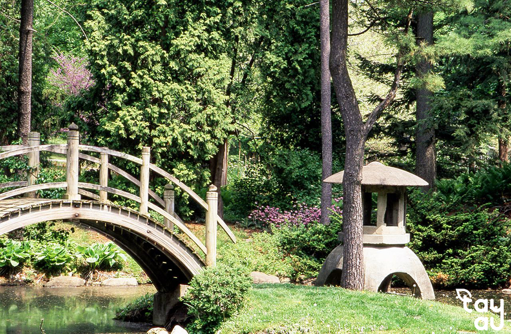 Secrets to owning a perfect garden space with bridges 13 cau san vuon 8