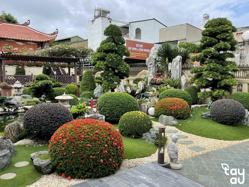 Những điều bạn cần biết về phong thuỷ sân vườn sau nhà trước khi thiết kế 11 san vuon sau nha 6
