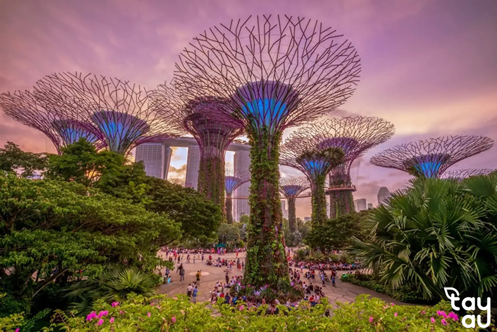 Discover the power of landscape architecture 15 suc manh kien truc canh quan 9