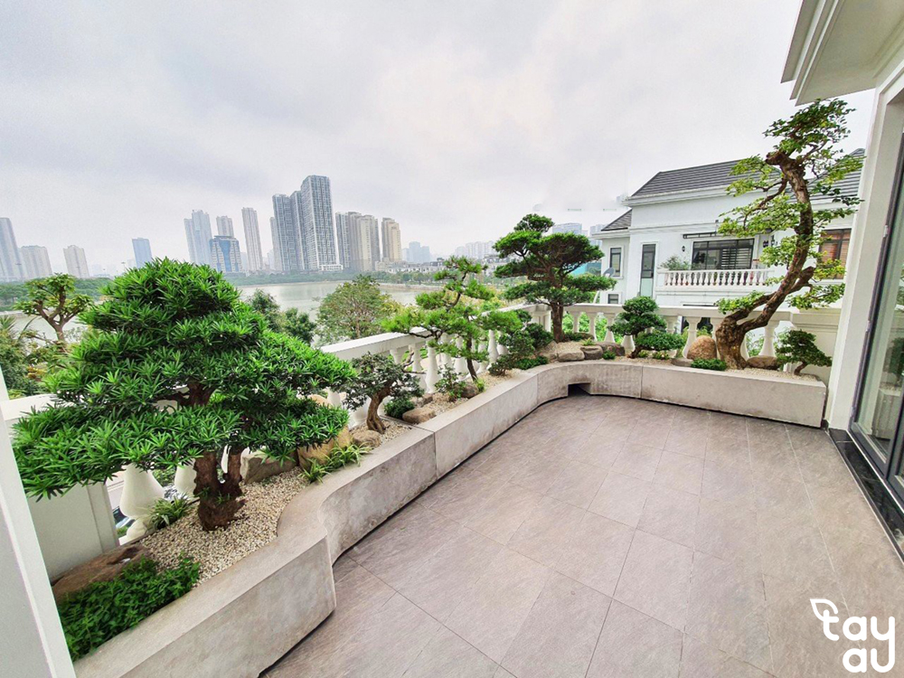 Không gian xanh mát vẫn thỏa mãn đam mê với Bonsai sân thượng 7 bonsai san thuong 3