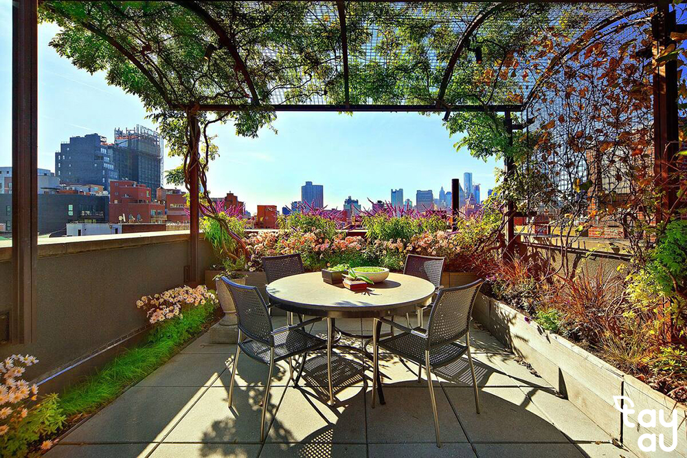 Guide to Designing Your Own Rooftop Trellis at Home 9 cay leo san thuong 4