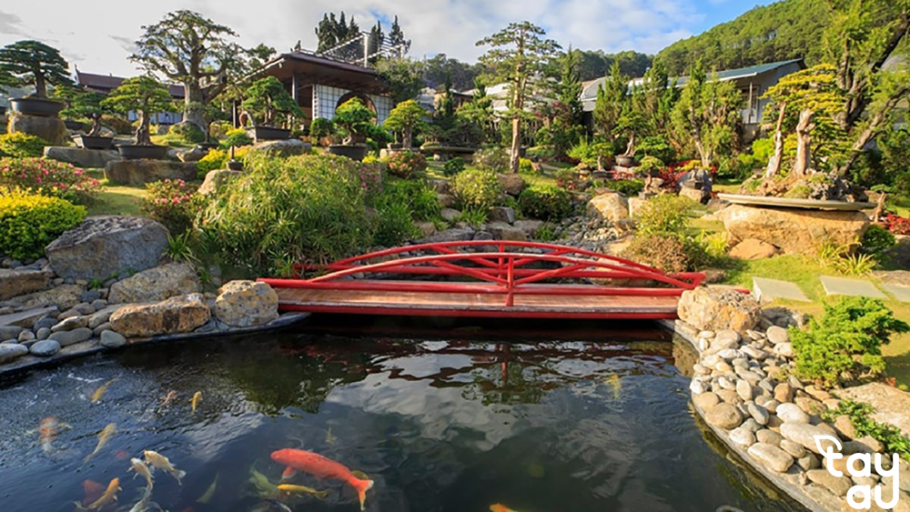 Create a cool and relaxing green space with a garden design featuring a fish pond 7 san vuon ho ca 1