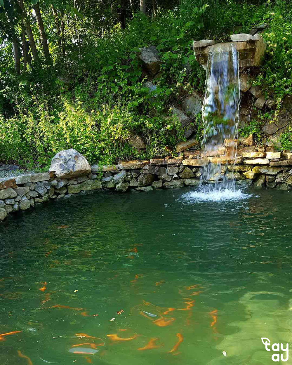 Create a cool and relaxing green space with a garden design featuring a fish pond 8 san vuon ho ca 2