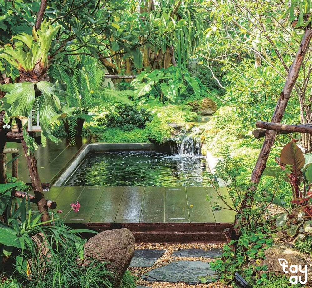 Create a cool and relaxing green space with a garden design featuring a fish pond 12 san vuon ho ca 5