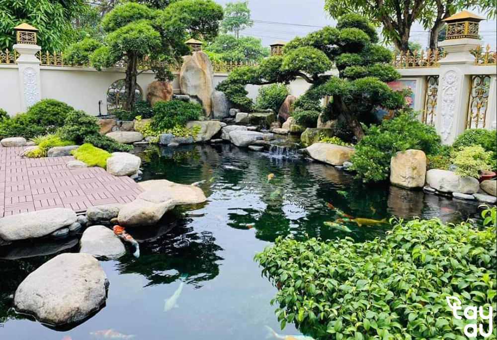 Create a cool and relaxing green space with a garden design featuring a fish pond 13 san vuon ho ca 6