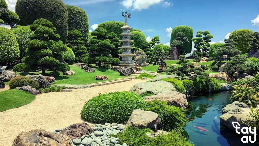 Detailed guide to garden construction based on the Four Symbols principle 6 thiet ke san vuon theo nguyen tac tu linh 1