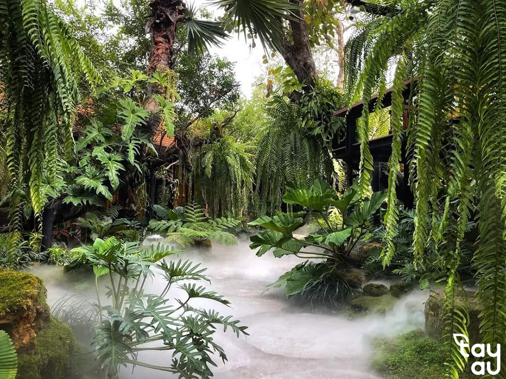 The design of the backyard miniature garden is striking and highly aesthetic 11 tieu canh san vuon sau nha 7