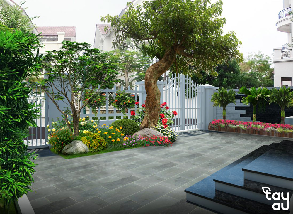 Top 8 loại cây sân vườn ít rụng lá và được trồng nhiều nhất 8 cay san vuon it rung la 2