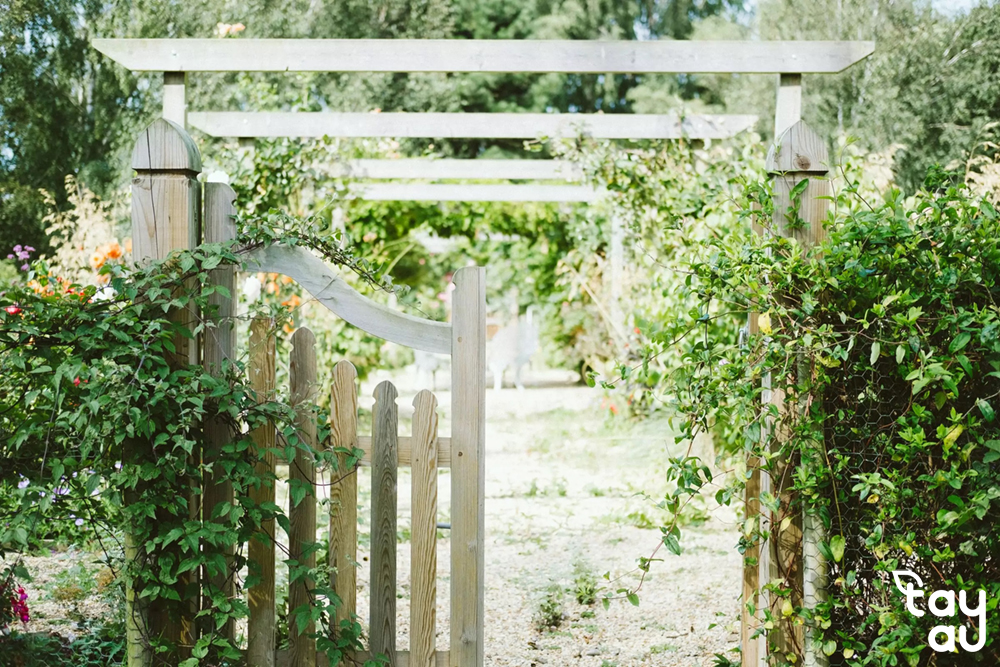 An impressive and beautiful garden gate attracts everyone's attention 11 cong san vuon 5