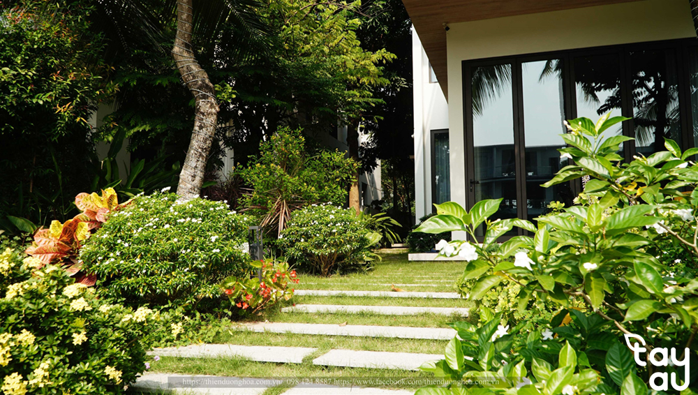 thiet ke thi cong san vuon binh duong 7