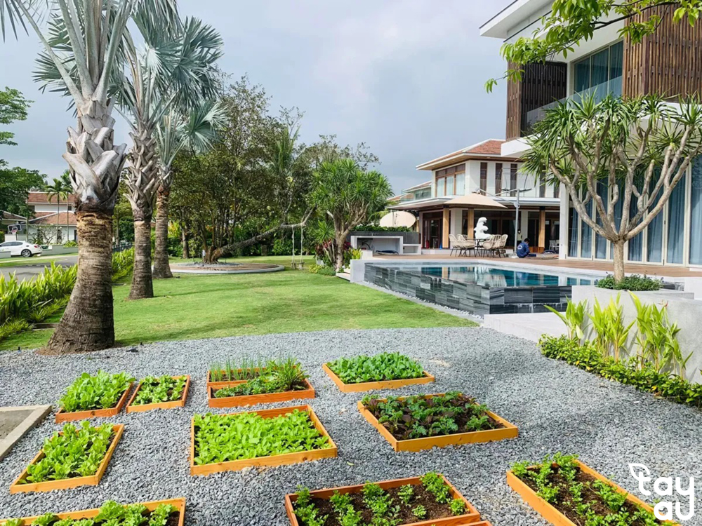 Kiến tạo không gian sống xanh với dịch vụ thiết kế thi công sân vườn Cần Thơ 10 thiet ke thi cong san vuon can tho 5
