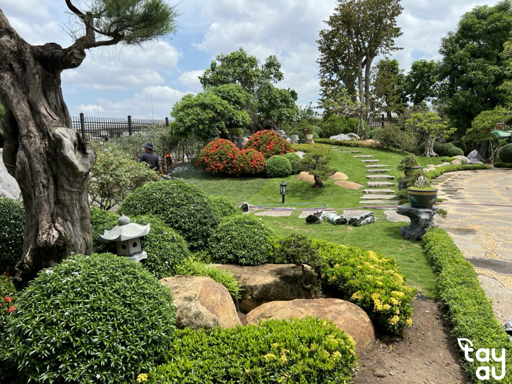 Dịch vụ thiết kế và thi công sân vườn tại Hà Nội của Tây Âu Landscape 7 thiet ke thi cong san vuon ha noi 2