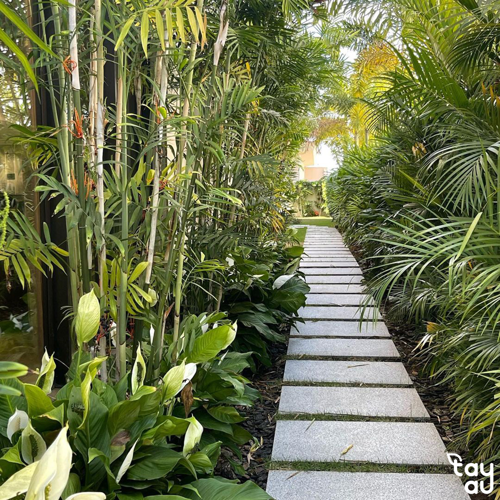 How to design a beautiful, feng shui-friendly, cool, relaxing, and unique tropical garden on your rooftop 7 tropical garden on rooftop