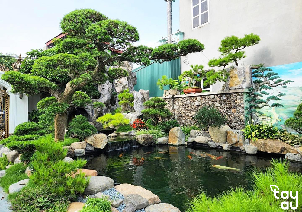 Cách bố trí cây cảnh trong sân vườn để tạo nên không gian xanh mát 13 bo tri cay canh san vuon 6