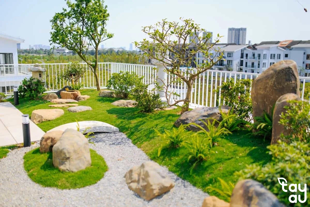 tropical grass hill landscape