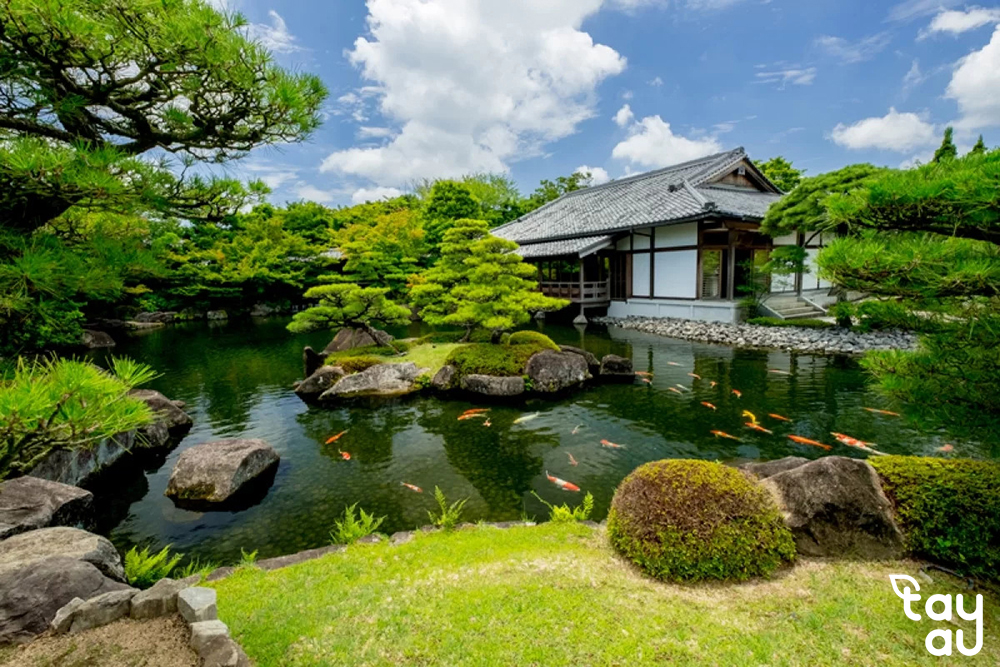 japanese grass hill landscape