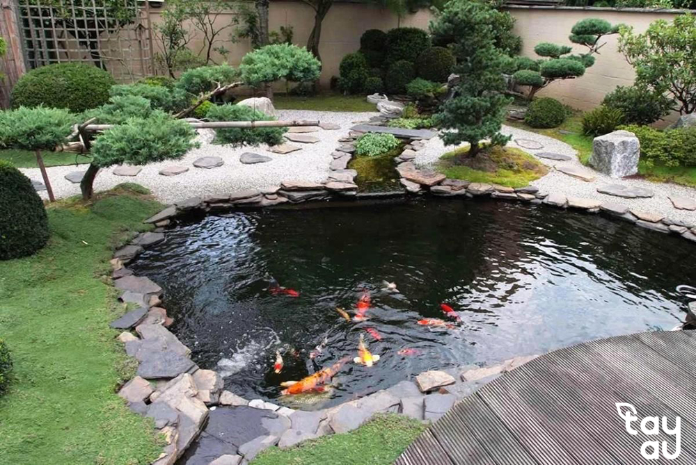 grass hill landscape with fish pond