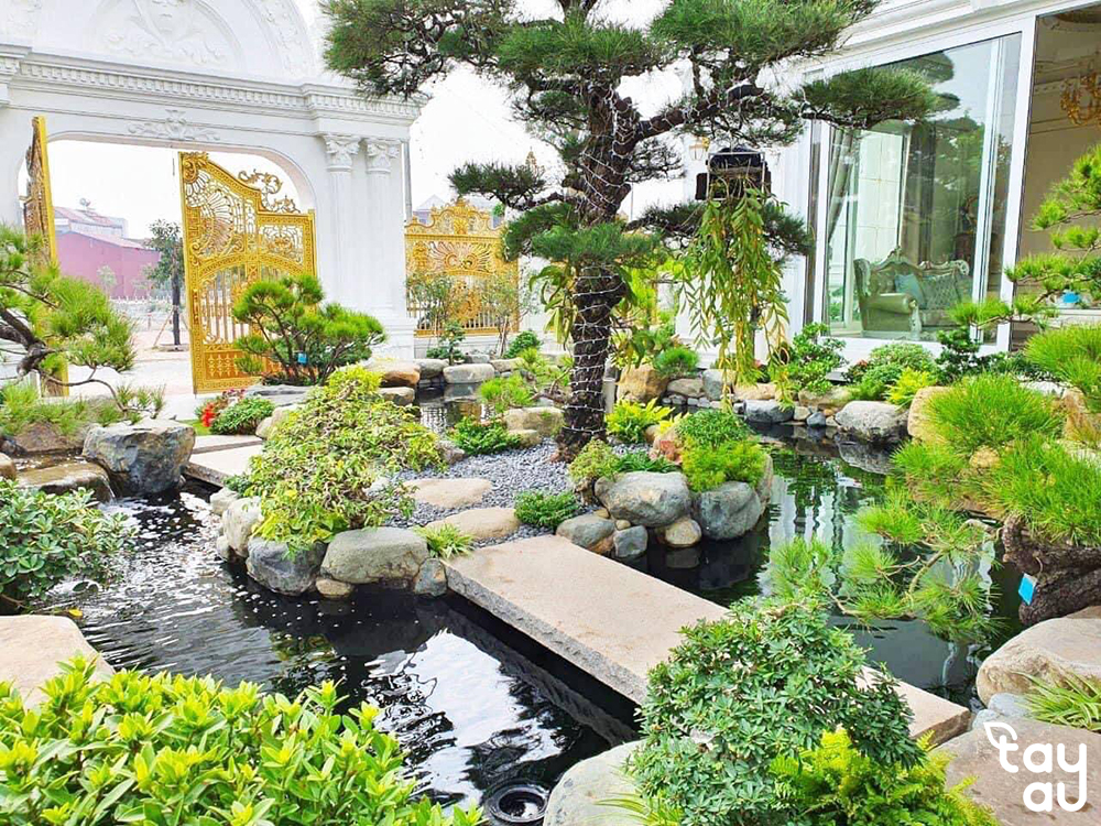 Những lưu ý khi chơi tiểu cảnh trong phong thủy bạn cần biết 7 tieu canh phong thuy 3