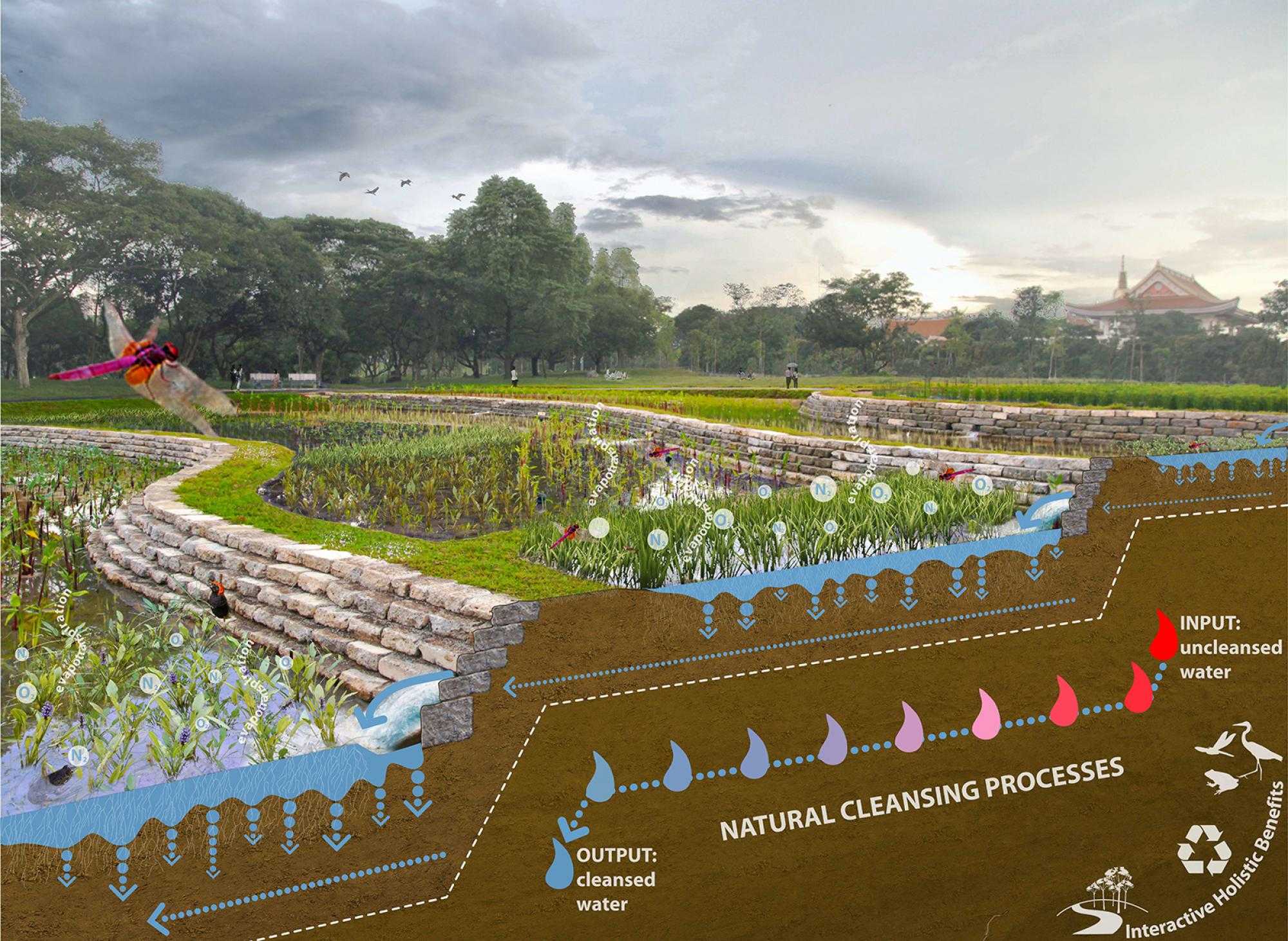 Tầm Quan Trọng và Giải Pháp Cảnh Quan Thân Thiện Với Môi Trường 17 Bishan-Ang Mo Kio Park (Singapore)