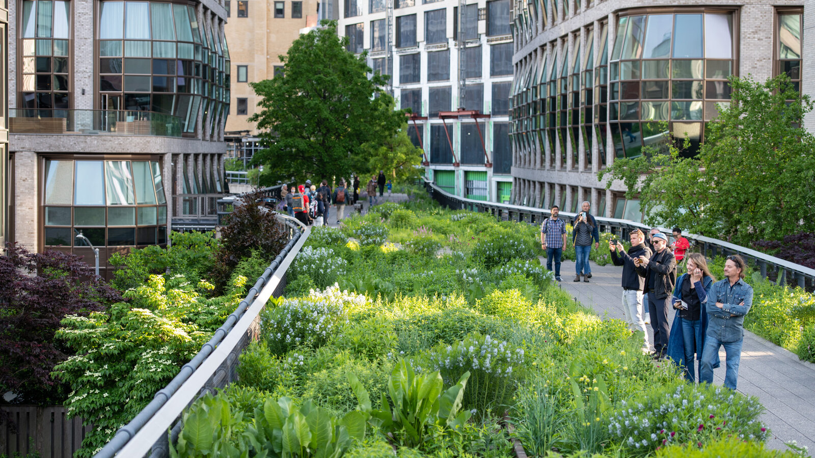 Tầm Quan Trọng và Giải Pháp Cảnh Quan Thân Thiện Với Môi Trường 13 High Line Park landscape New York, Mỹ