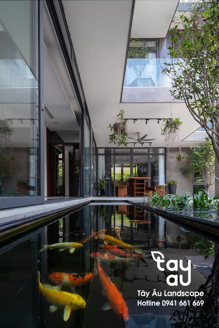 Dịch vụ thiết kế thi công hồ cá koi của Tây Âu Landscape 9 Hồ cá koi sân vườn
