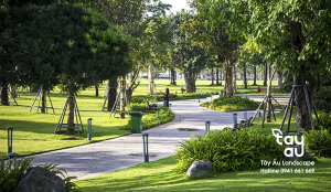 Phát triển không gian xanh đô thị tại Việt Nam đang được ưu tiên