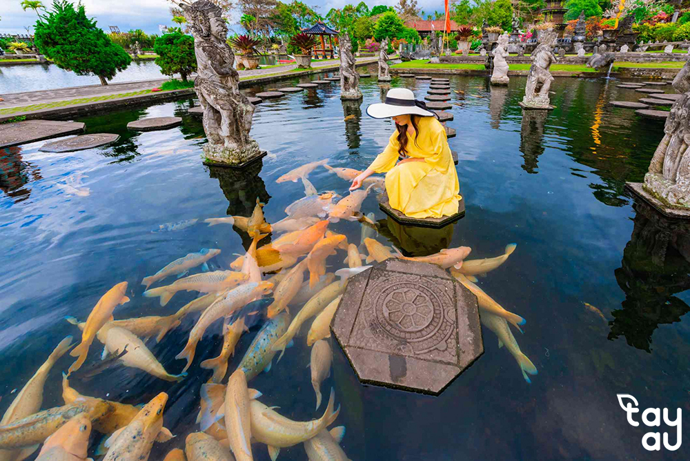 cach lam trong nuoc ho ca ngoai troi 5